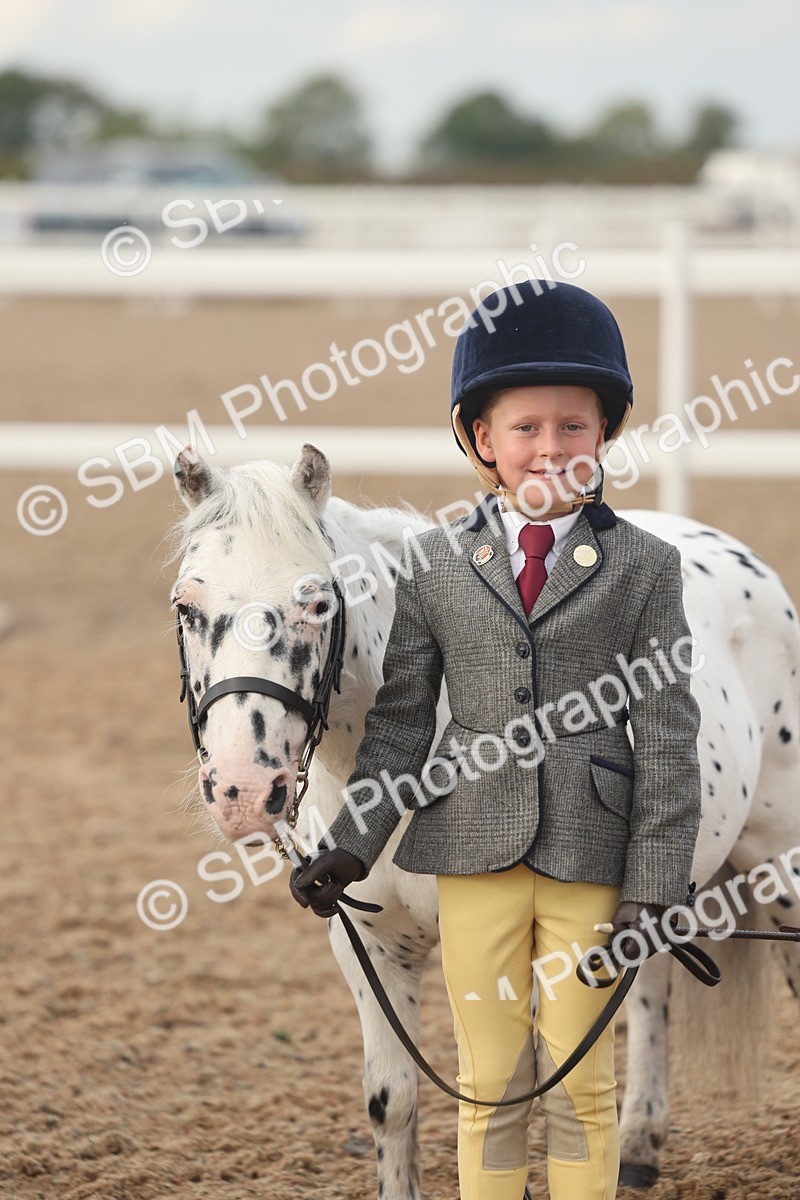 SBM_08571 - Class 29 - IH Veteran Pony