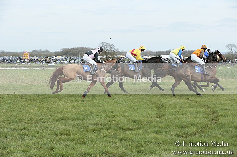 PtP 230319 269 - VWH Hunt Siddington Point-to-Point Racing 23/03/19