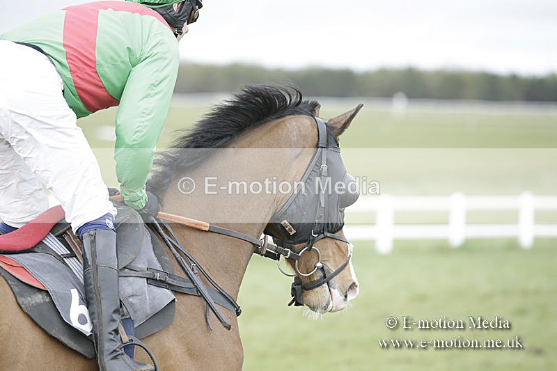 PtP 150320 0560 - New Forest Point-to-Point Larkhill 15/03/20