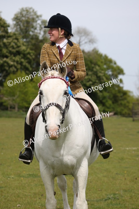 20260426-4430 - Class 34 - Best Riding Horse Over 14.2hh
