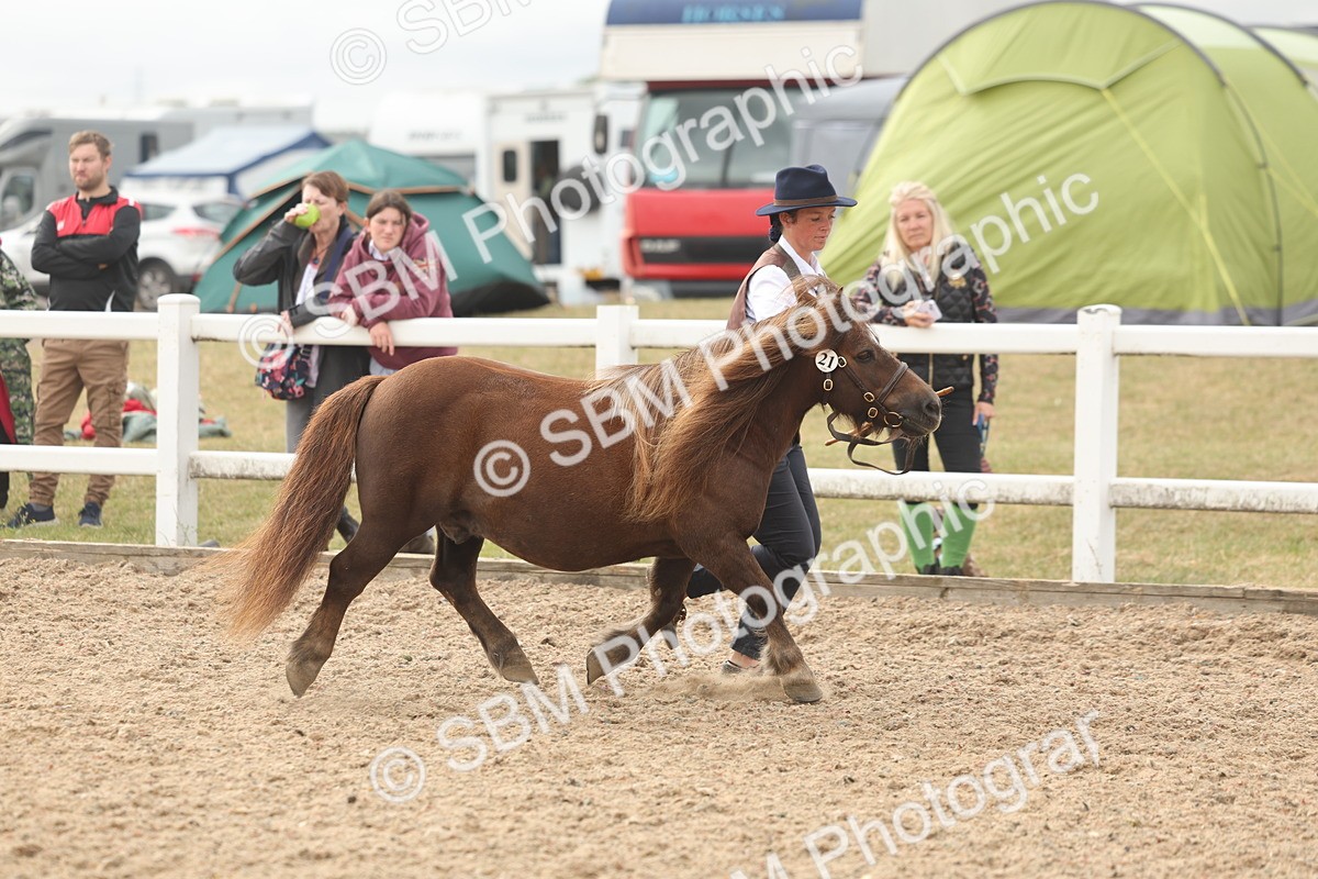 SBM_03173 - Class 16 - IH M&M Wildcard