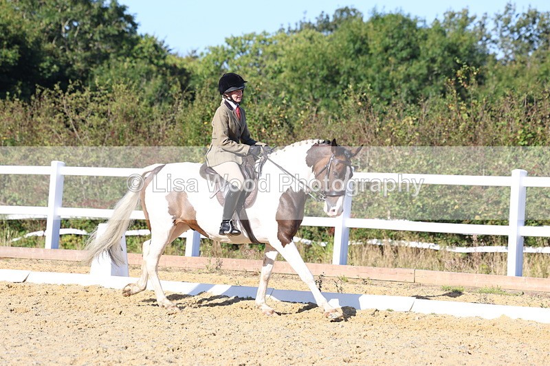 3E7A5283 - Class 8: Small Ridden Hunter