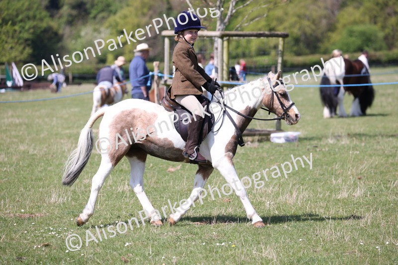 20250427-3179 - Class 33 - Best Pony 14.2hh and Under