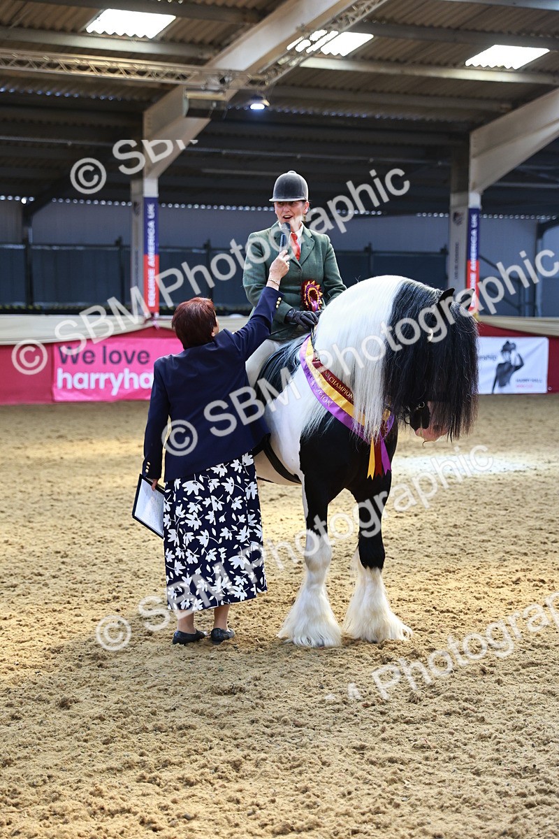 SBM_12782 - HOYS Veteran Qualifier - Ridden Champ