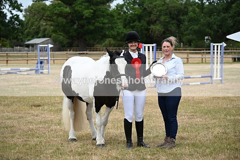 WJ6_4451 - Class 10 Coloured In-hand