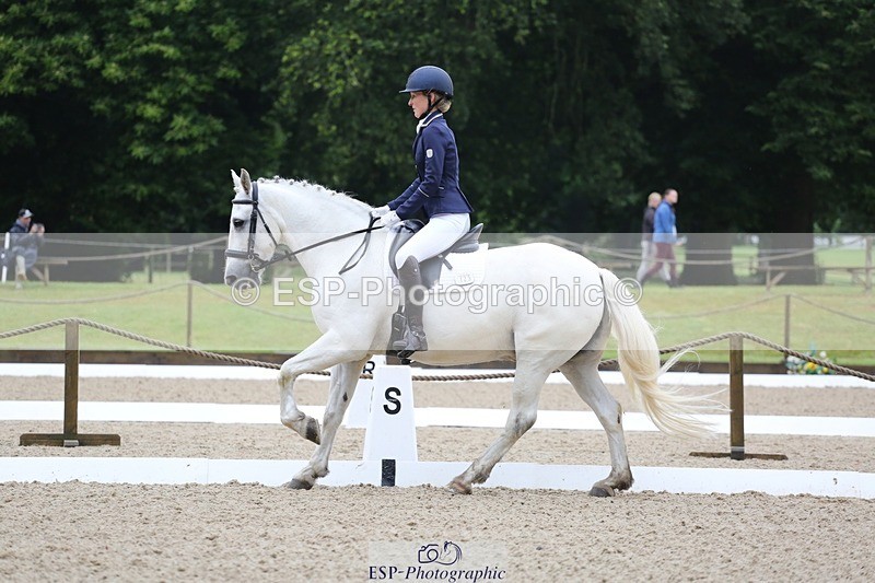 240720-101203-03880 - 125-Sarah_Browne-Domino_Star
