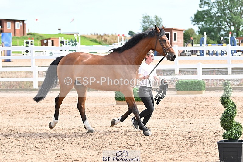 240717A-162314-03433 - Trot Up 4pm to 5pm