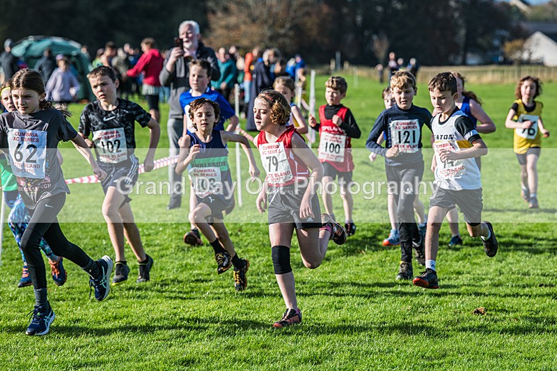 Cumbria XC-83 - Cumbria XC League Workington Saturday 26th October 2024