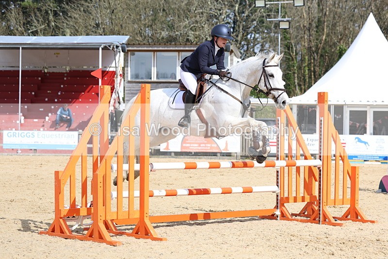 3E7A6638 - Class 4: Senior British Novice/90cm open