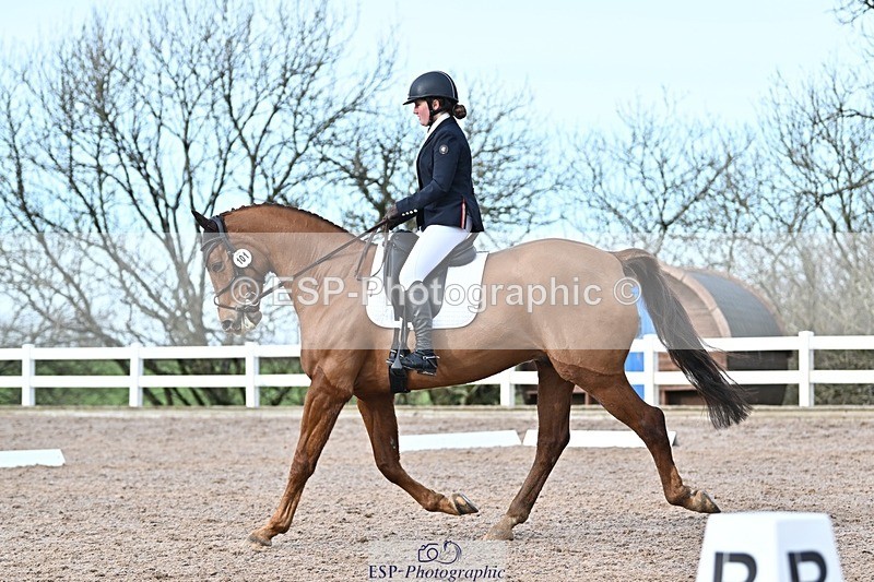 250125-130911-00569 - Dressage - CT Class 6 BE102