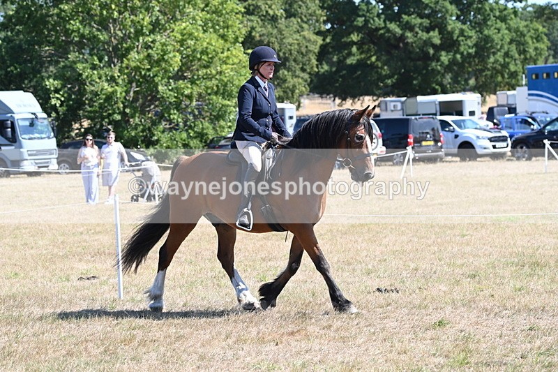 WJ6_8223 - Class 37a Best Loan Pony Ridden