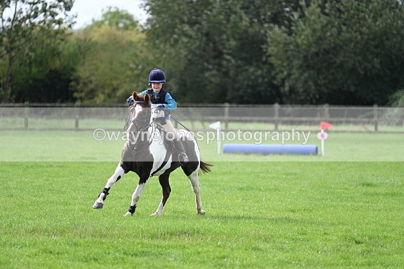 WJ7_8467 - 60cm Pairs