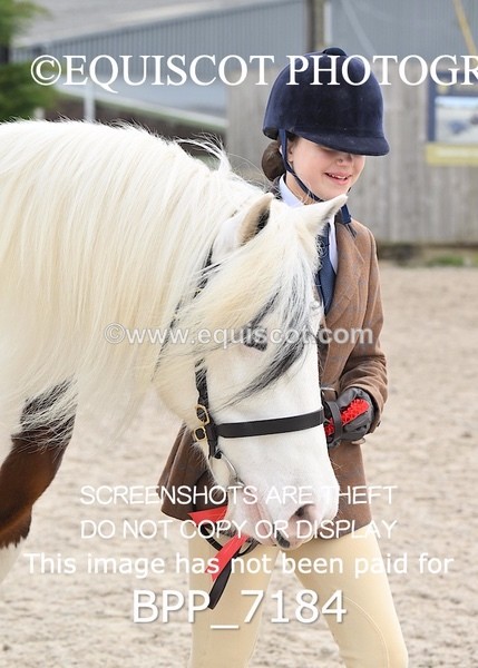BPP_7184 - RING 1  (RIDDEN HORSES / IN HAND / VETERAN ETC)