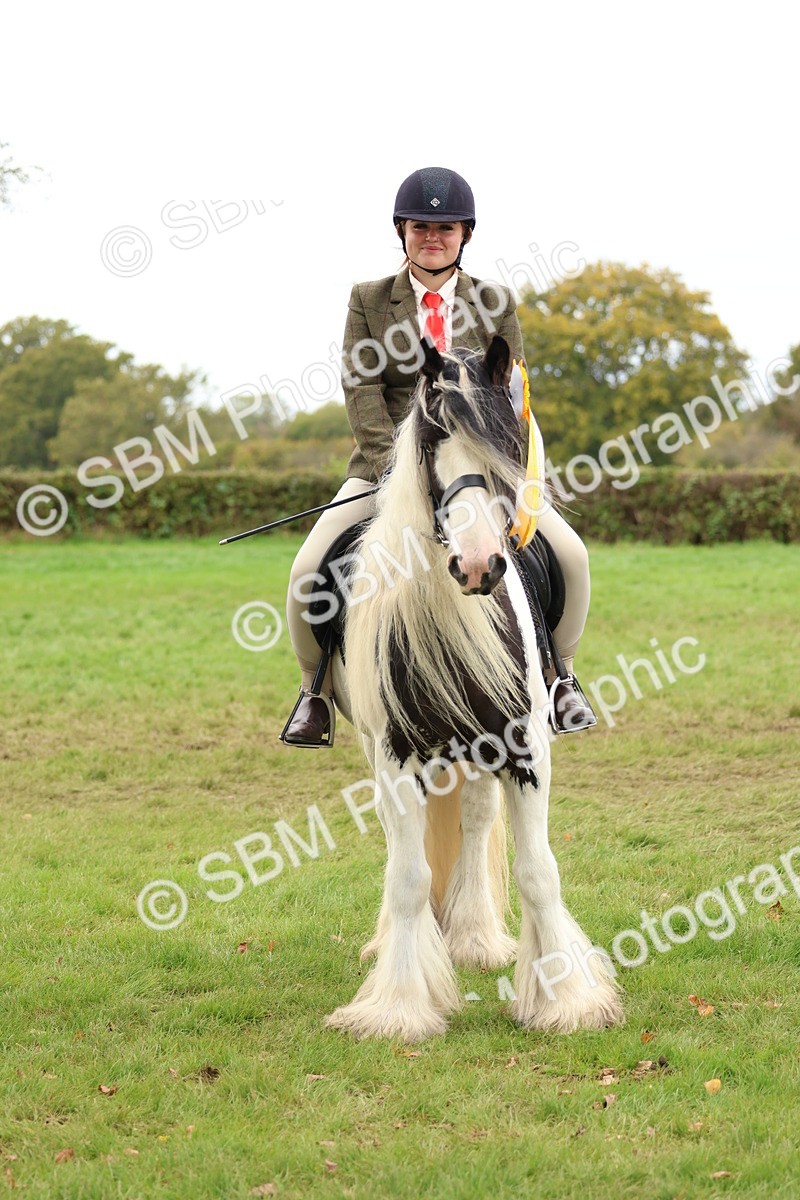 SBM_64671 - S58 - Coloured Pony Ridden