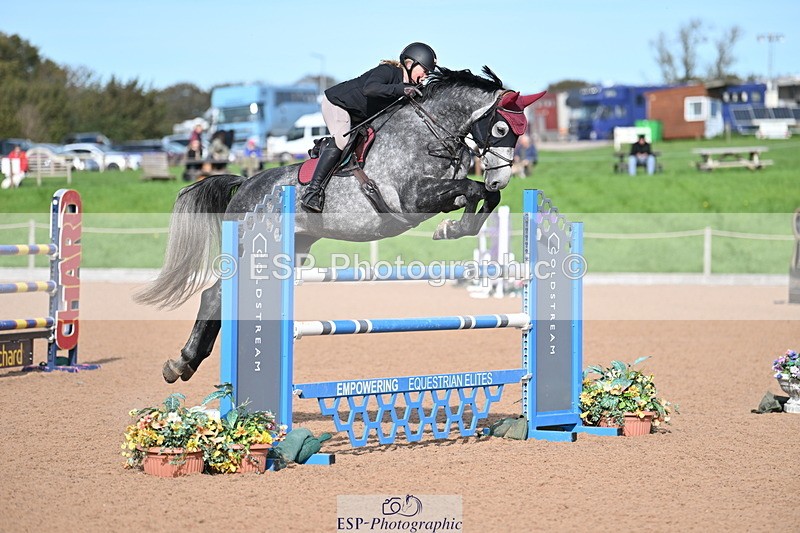 231015A-140155-08499 - Cls 31 Blue Chip Grade B & C Champ Quali