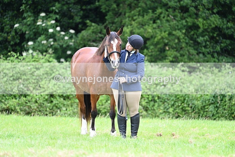 WJ7_4464 - Class 14B Prettiest Mare