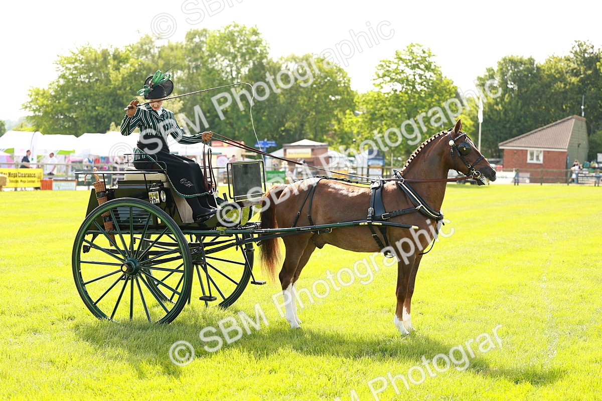 SBM_01239 - Class 2-4 - HOYS Private Driving