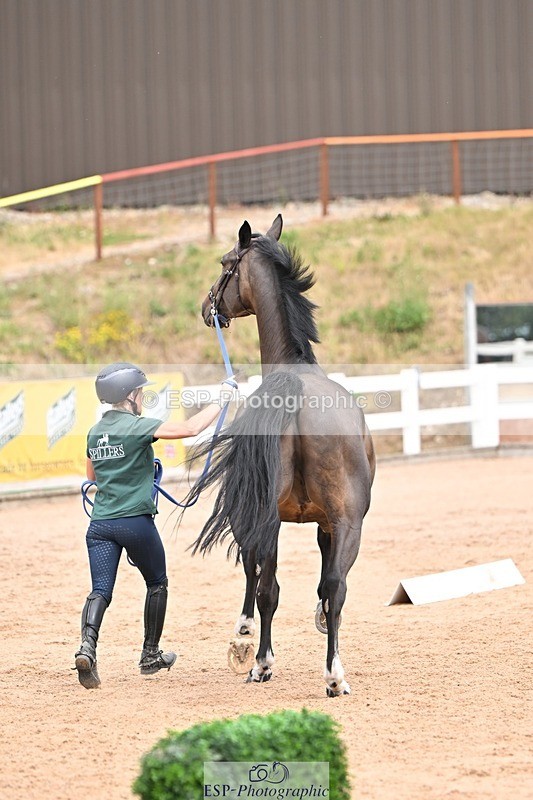 250716-143910-01257 - Trot Up 2.30 to 3.30