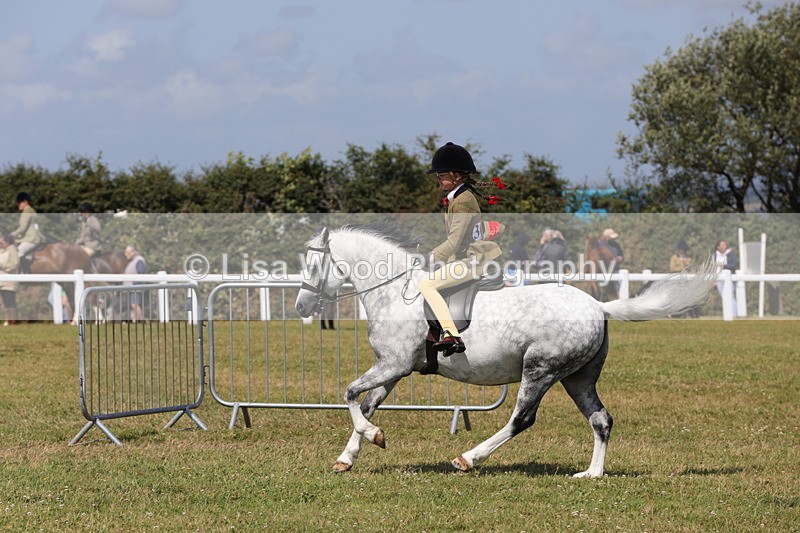 1X9A5370 - Class 37: NPS M&M First Ridden