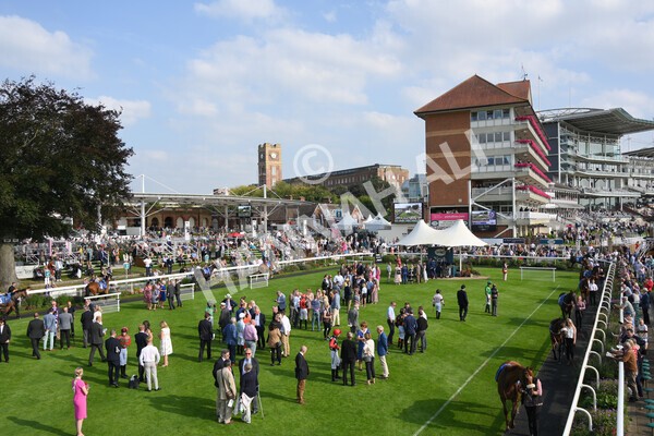 yr05092021r5-51 - Race 5 4.20pm Little Green Rascals Children's Nurseries Stakes