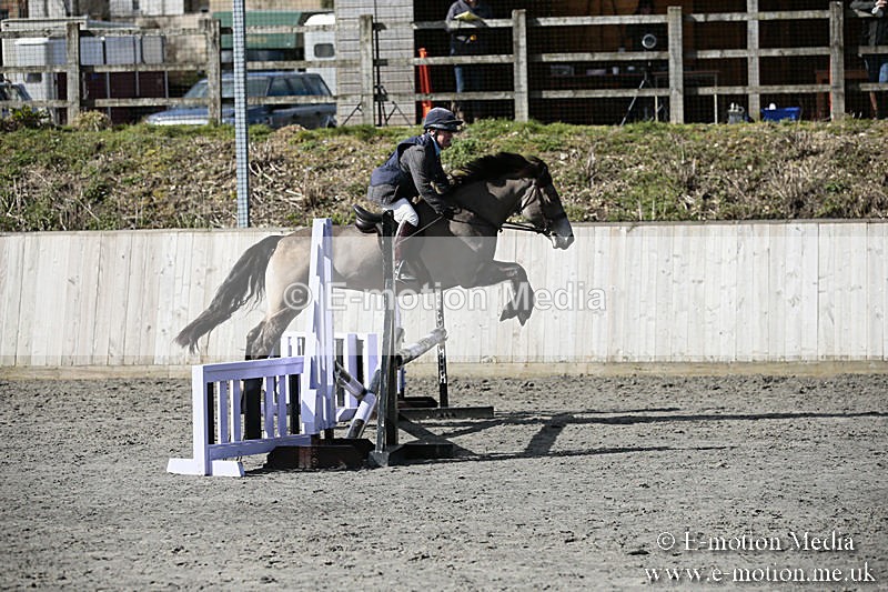 BVRC SJ 170319 199 - Bourne Valley Riding Club Showjumping 17/03/19