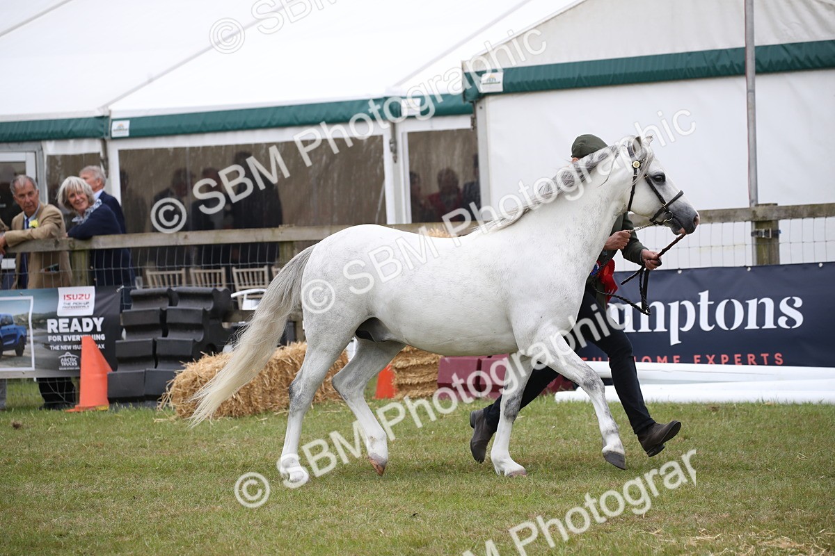 SBM_09801 - Ch 50 - Price Family Supreme In Hand