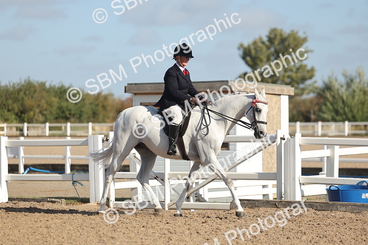 SBM_22293 - Class 803 - Ridden Combination 65+