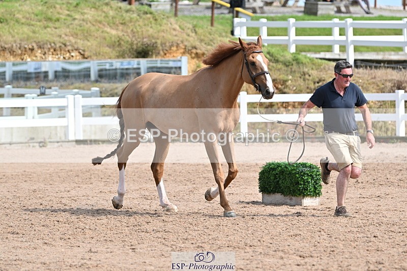 240717A-161237-03346 - Trot Up 4pm to 5pm