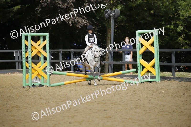 20250622-3763 - 50cm