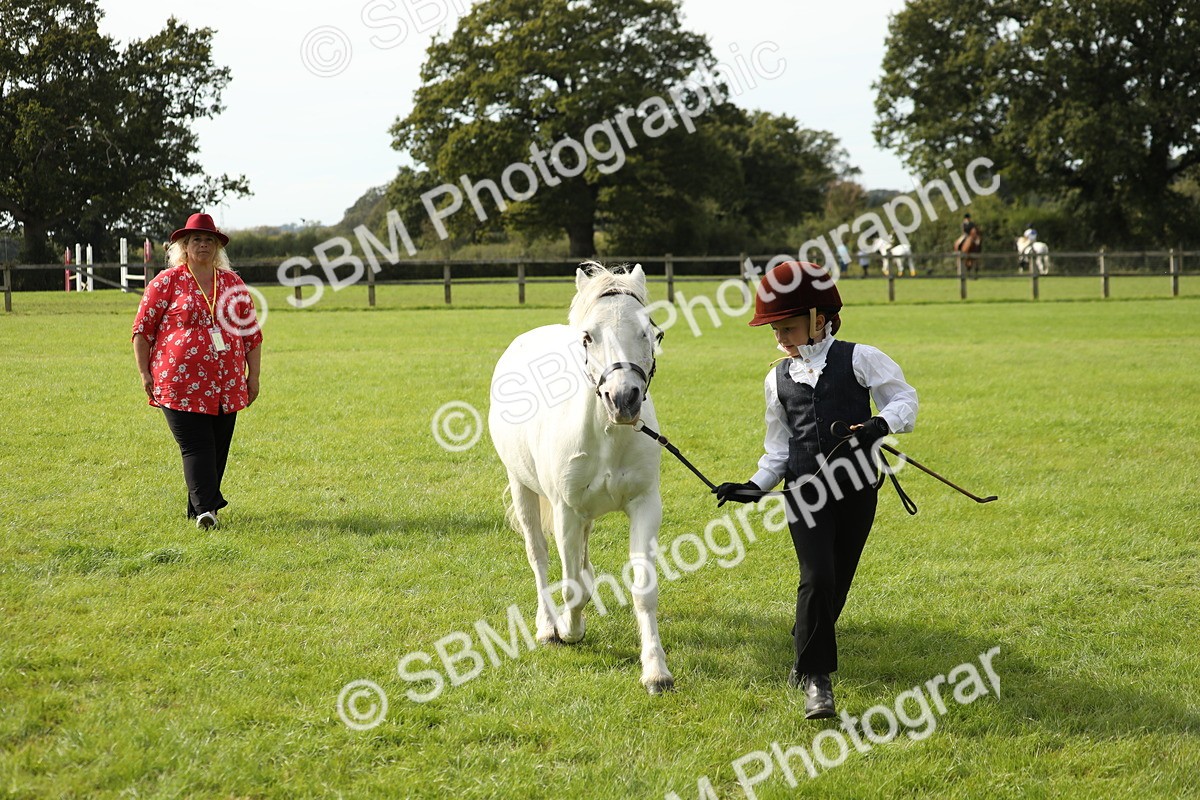 SBM_68676 - S40 - Junior Handler 9-12 Years