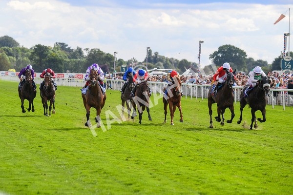 260823-Race 3-Kinross-0470 - Race 3 Sky Bet City Of York Stakes