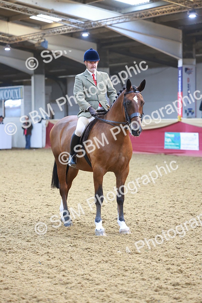 SBM_07656 - Class 101 - HOYS Veteran Qualifier - Ridden Diamond