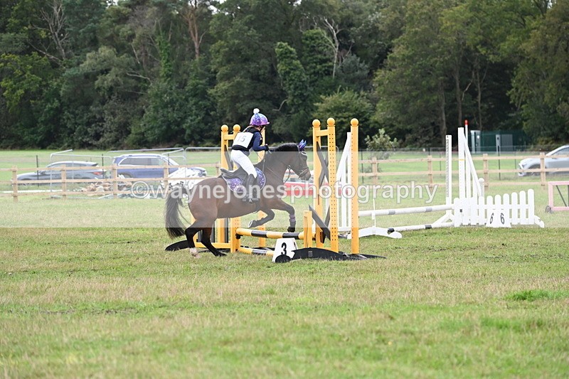 WJ6_0212 - 40cm Time 10:00 to 10:28