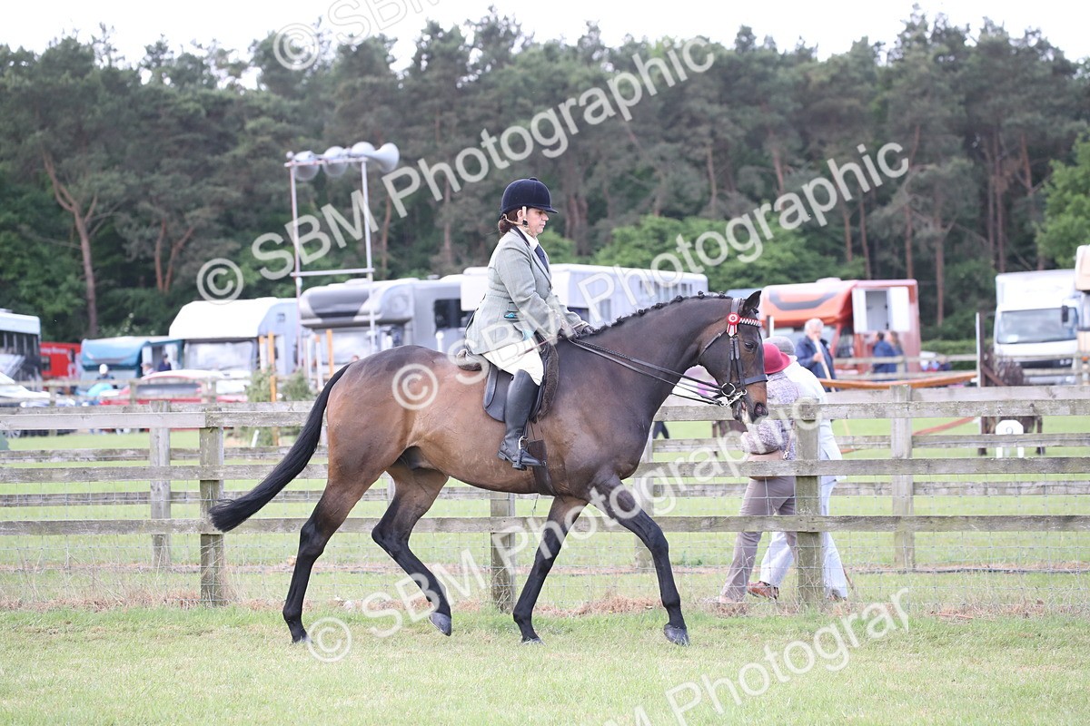 SBM_14156 - Class 113-114 - Retraining of Racehorses Ridden