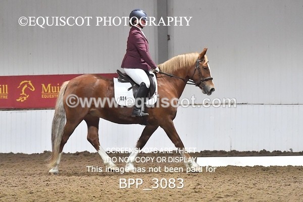 BPP_3083 - INTRO TEST 2