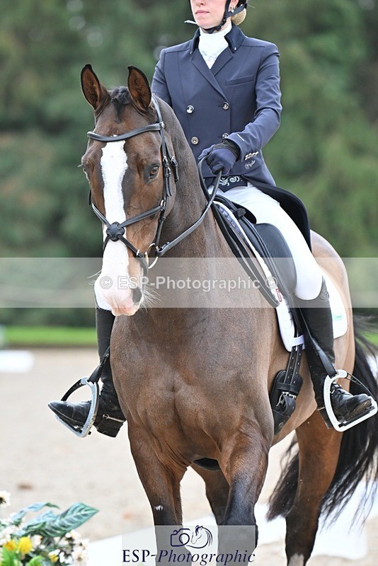 231019-104439-01949 - 103-BEECH.HILL.KIKO.CLOVER-Harriet.Blair-DR