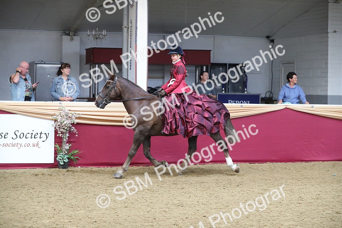 SBM_11314 - Class 104 Ridden Costume - Astride Junior
