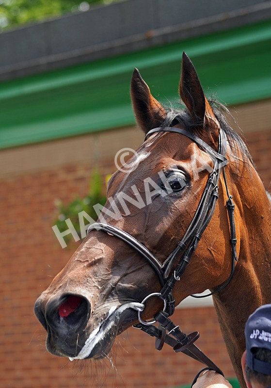 160626-Race 1-Counter Intuitive-10 - Race 1 14.15pm British EBF Fillies' Novice Stakes