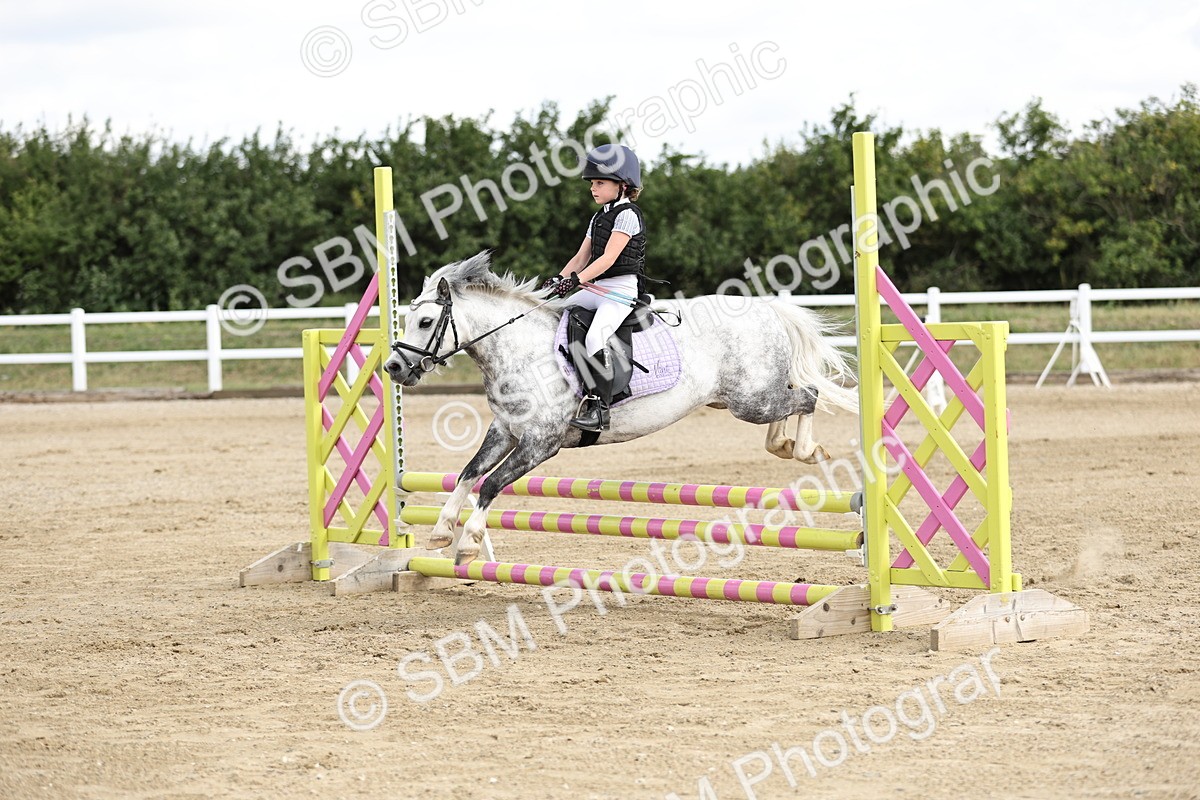 SBM_004056 - 60cm showjumping