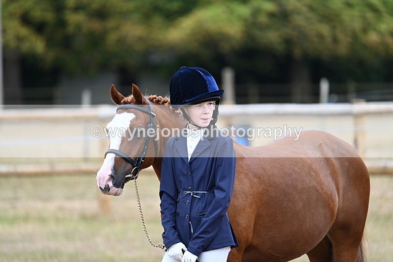 WJ7_8401 - Class 4 Prettiest Mare up to 14.2hh