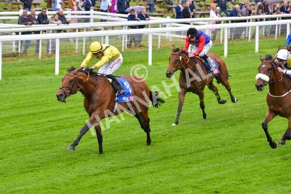 yr11052022r1-24 - Race 1 1.50pm Sky Bet Race to the Ebor Jorvik Stakes