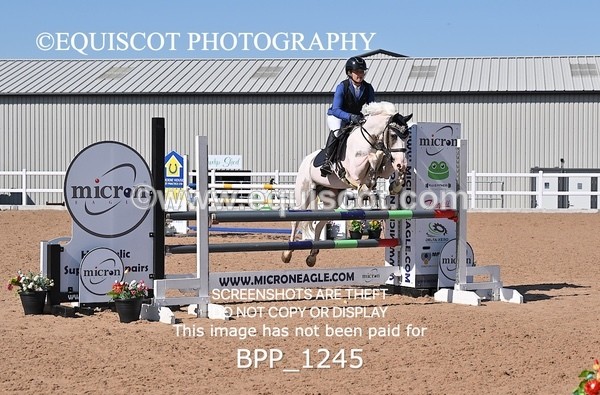 BPP_1245 - THU CLASS 1 PONY FOX/1.10m OPEN