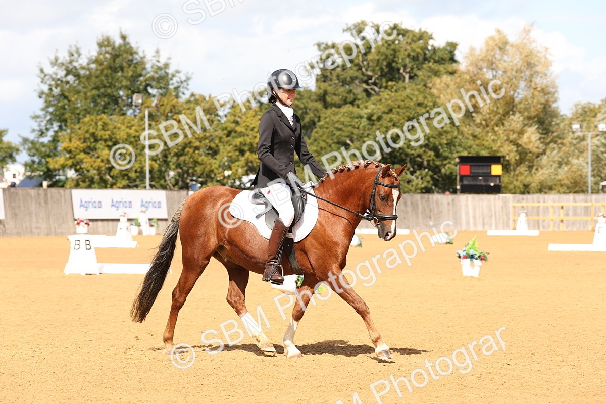 SBM_20254 - D10 - Small Tour Championship Prelim 2