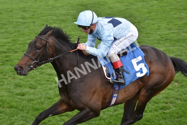 yr14052021r2-20 - Race 2 2.10pm Oak Farm Stables Fillies' Stakes (registered as the Michael Seely Memorial Stakes)