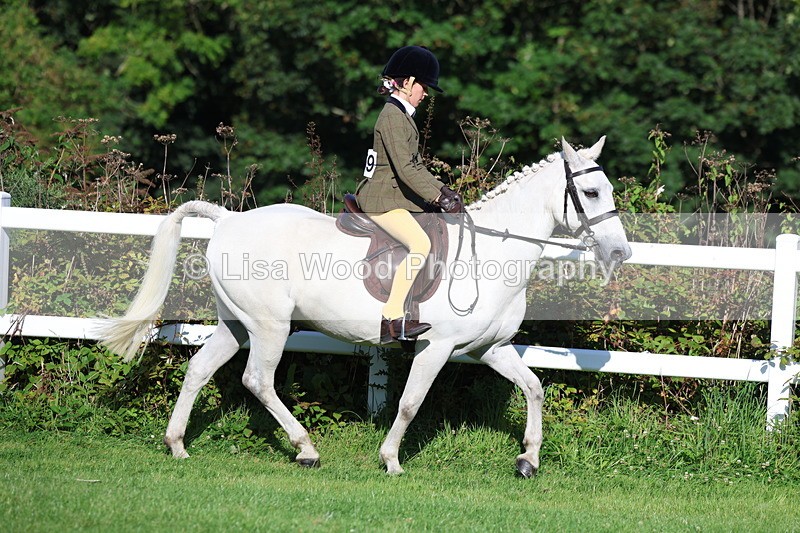 3E7A7575 - Class 1: Novice Working Hunter Pony