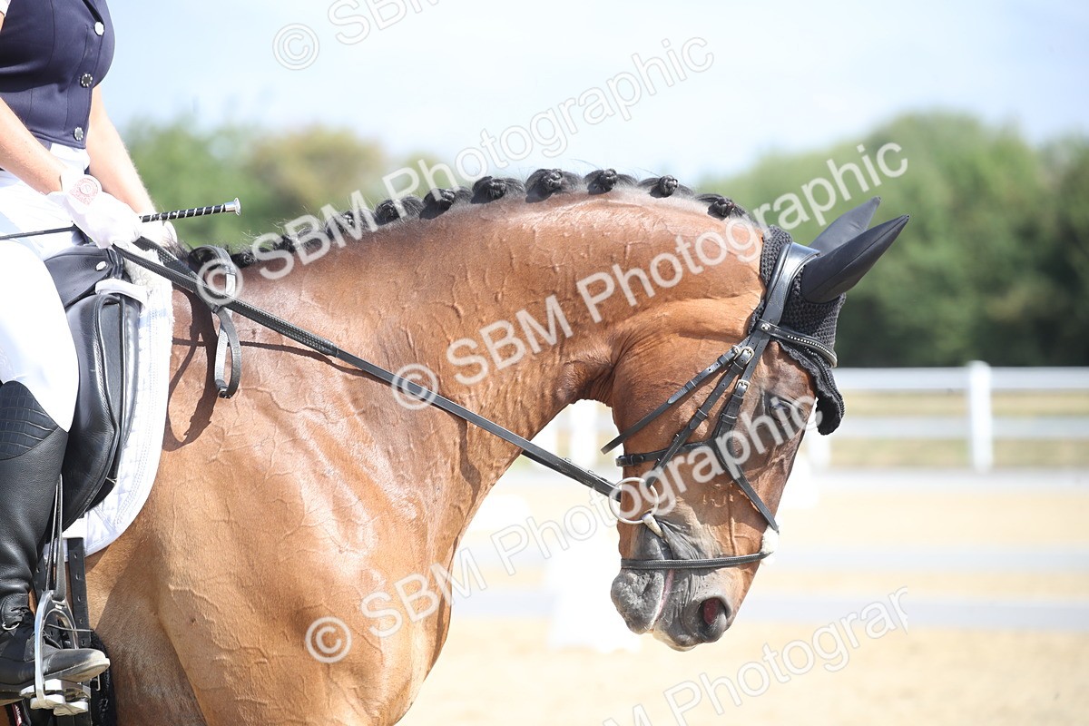 SBM_005949_Novice 5 - 830-1039 - Jade