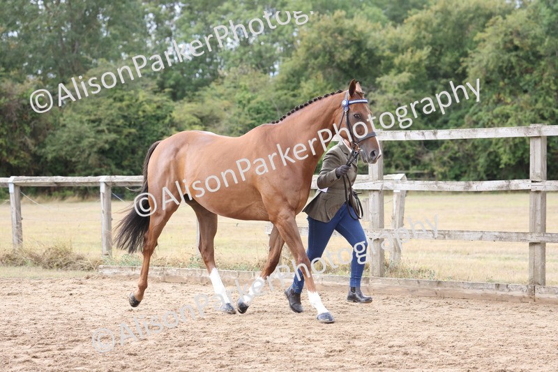 20260831-1922 - Class 5 - Retraining of Racehorses