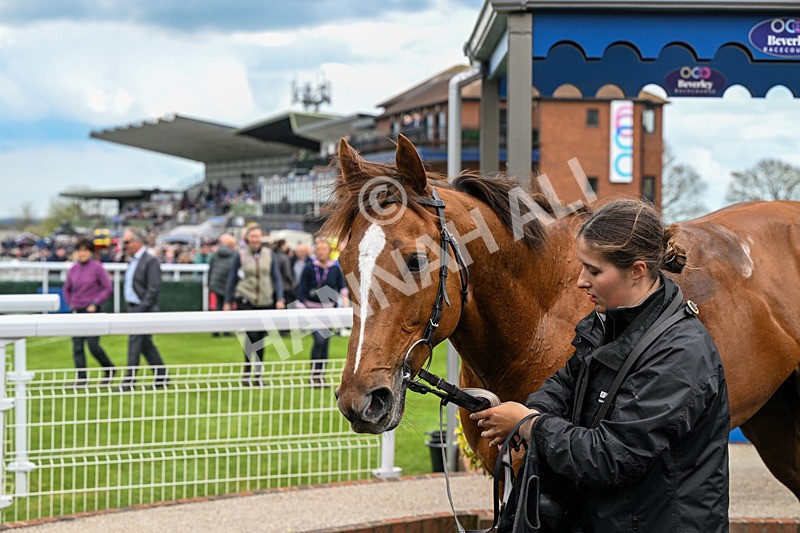 150426-Race 4-Air Force One-6700 - Race 4