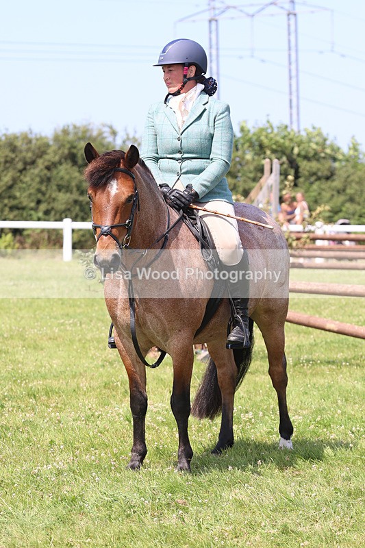 JPP_3314 - Class 22: Working Hunter 70cm