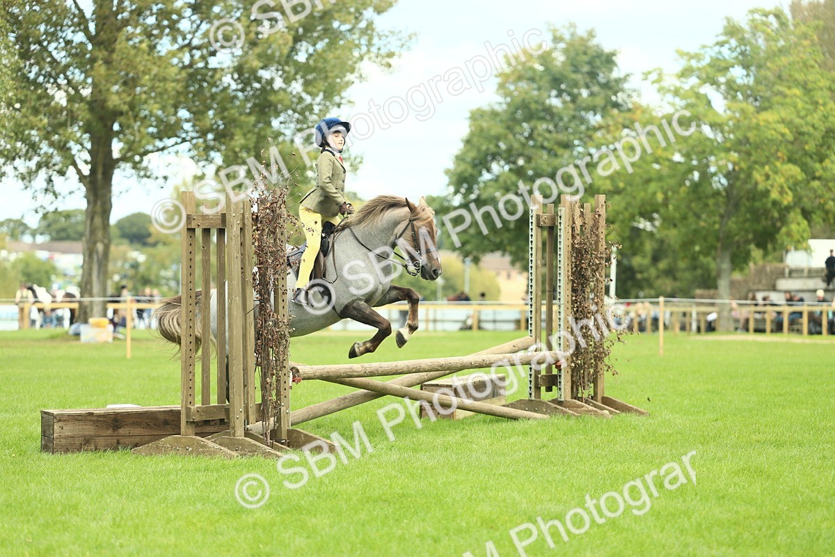 SBM_42765 - S30 - M&M Working hunter Pony